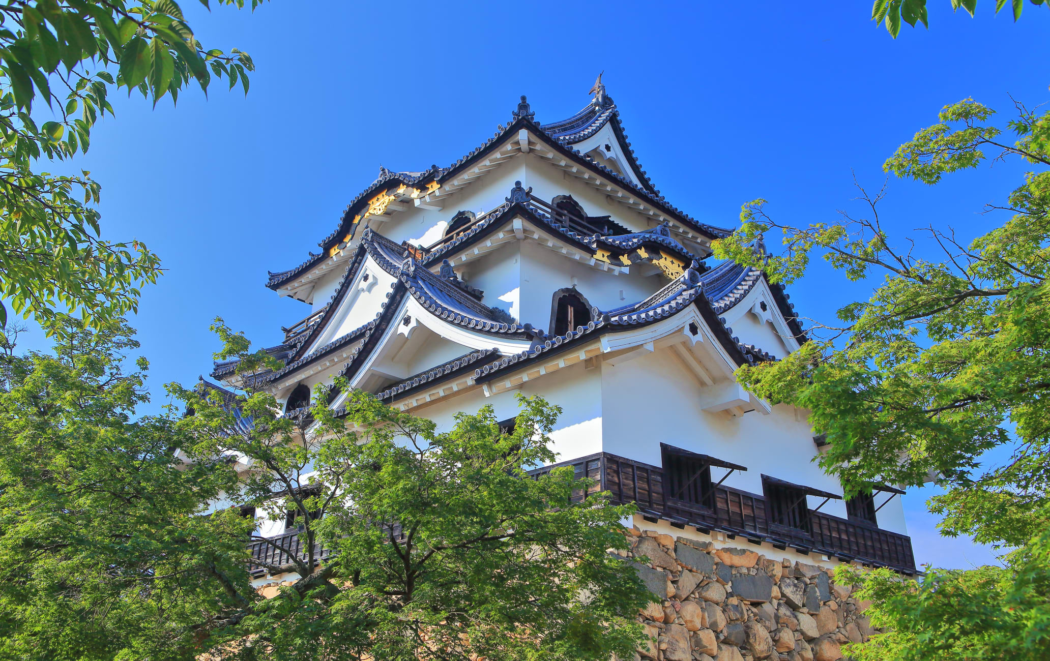 Hikone Castle