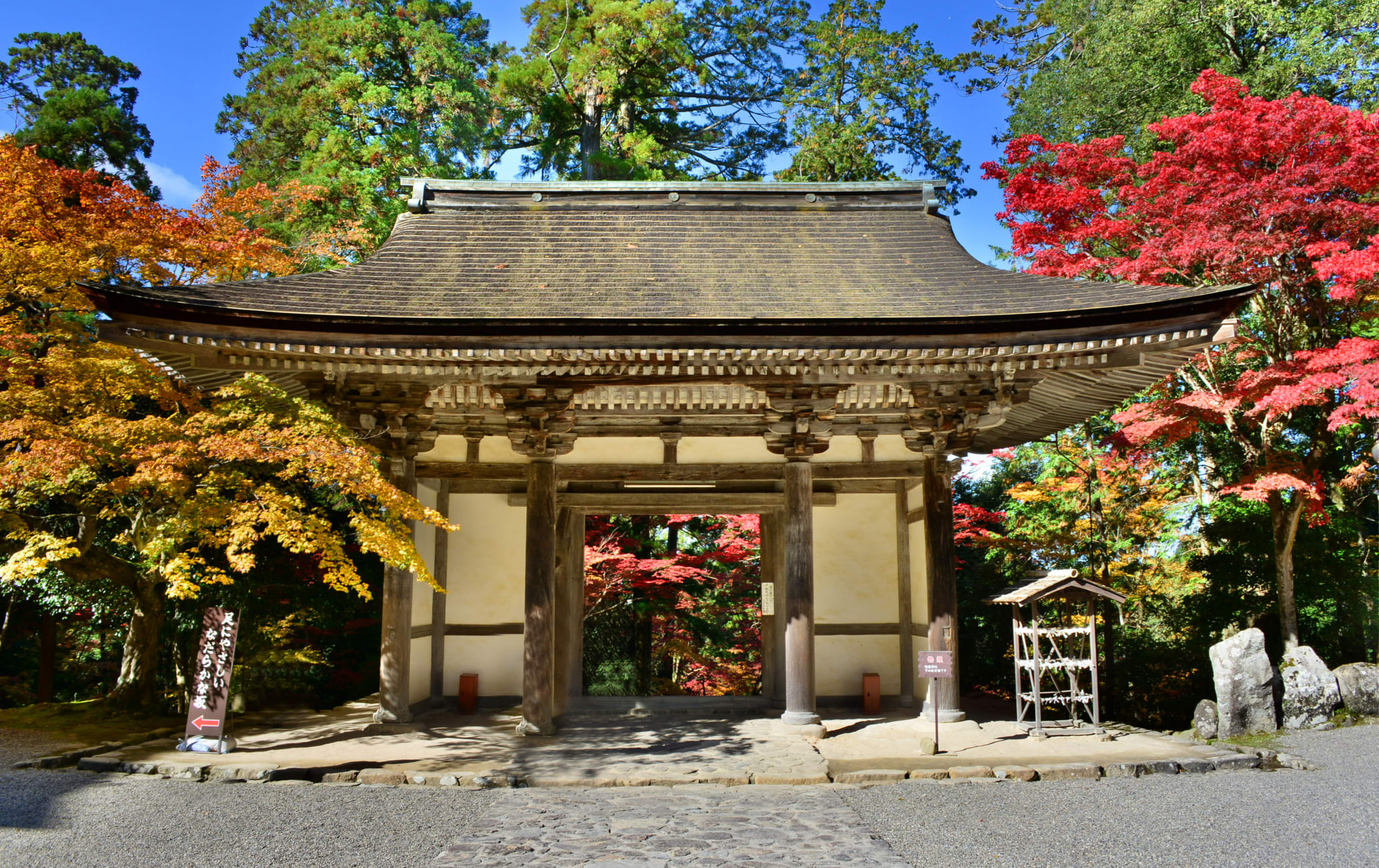 Fall Foliage of Saimyoji