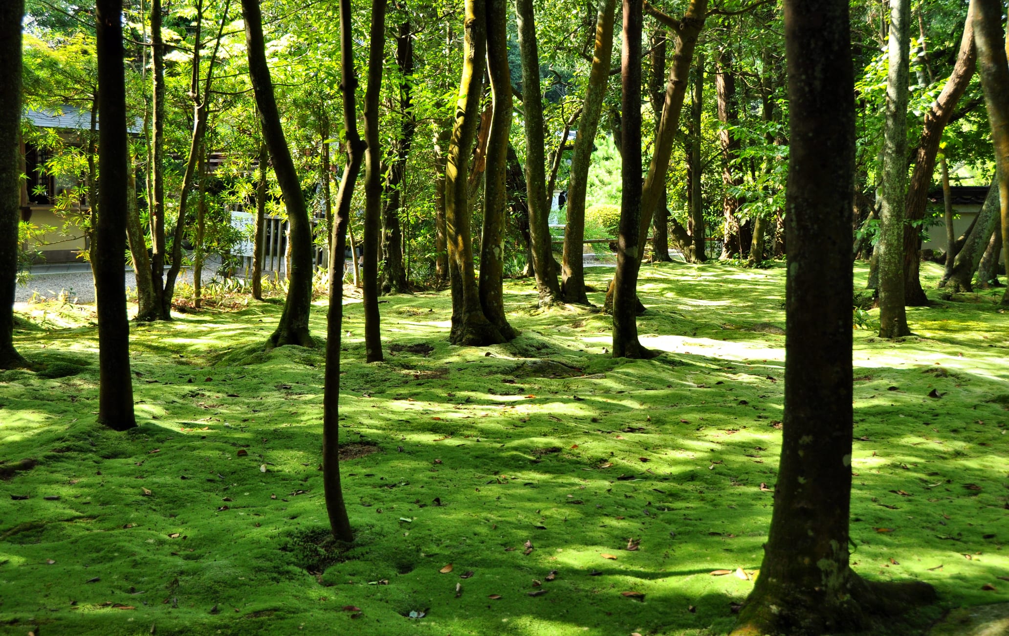 Akishino-dera Temple