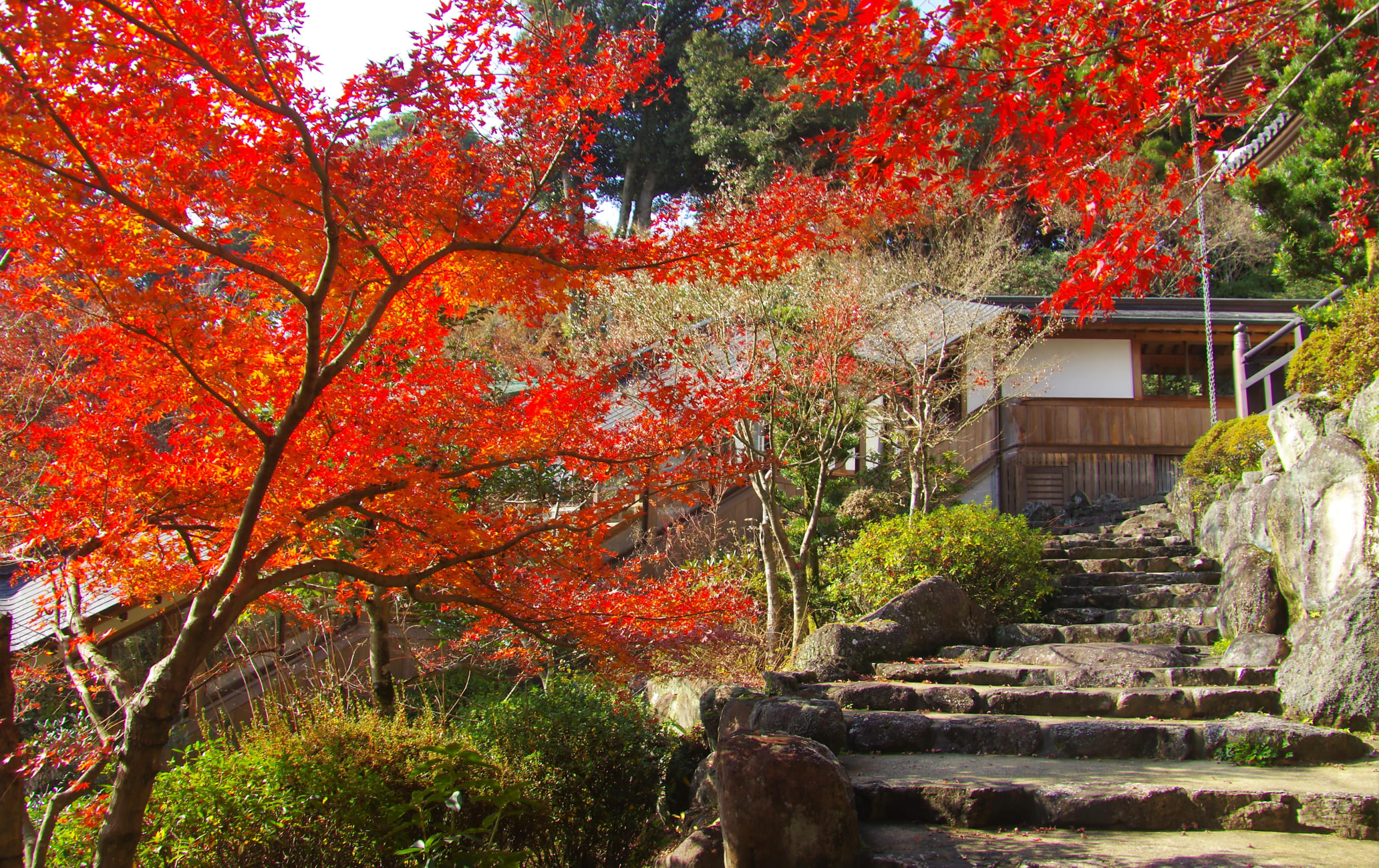 Koyaji Temple