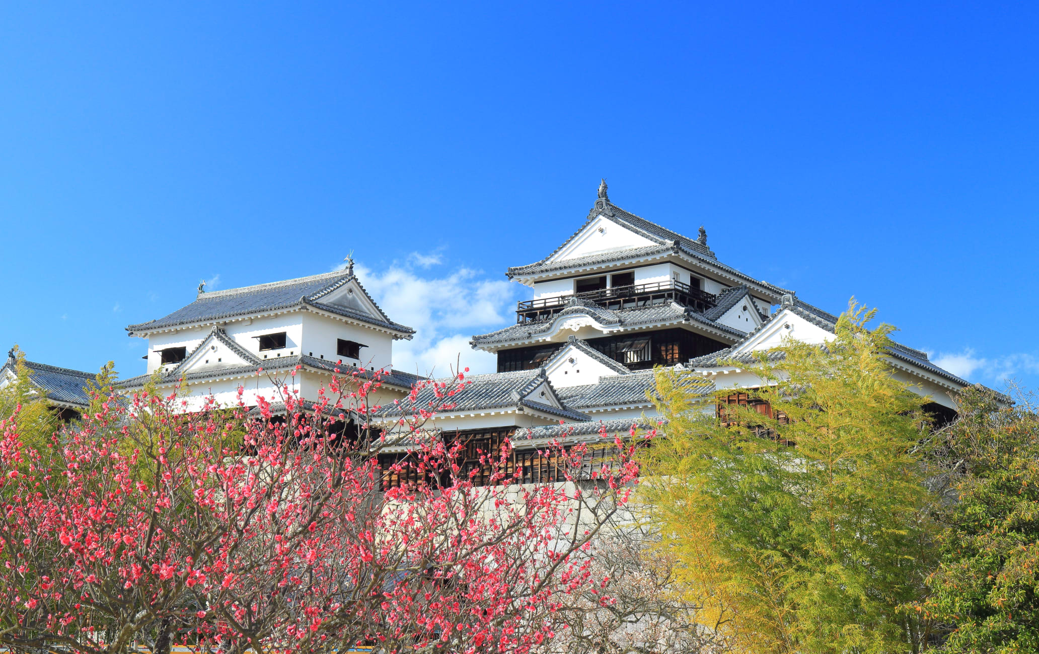 matsuyama castle