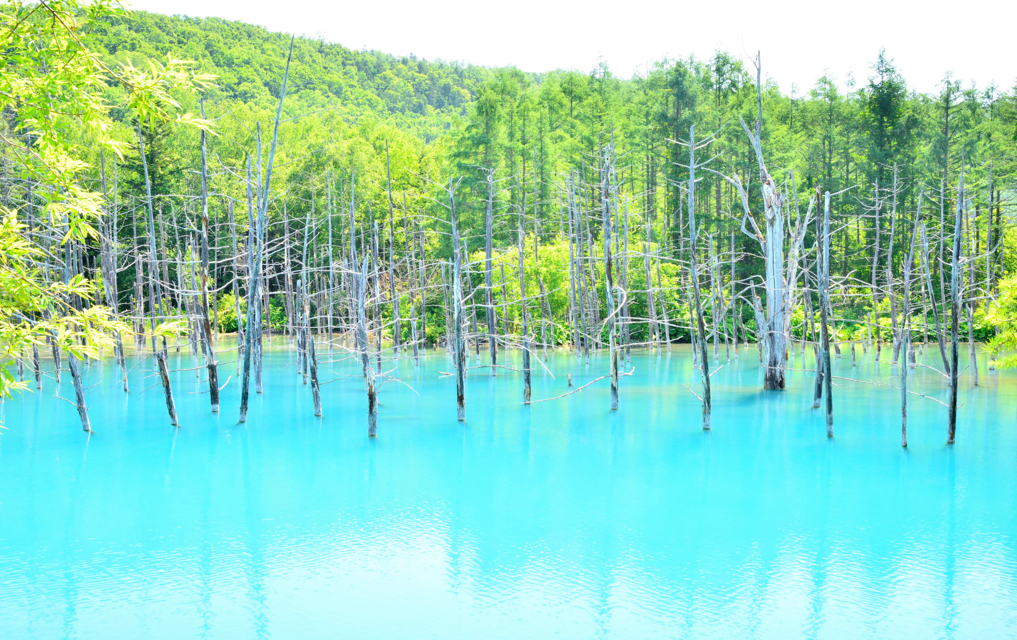 Blue pond