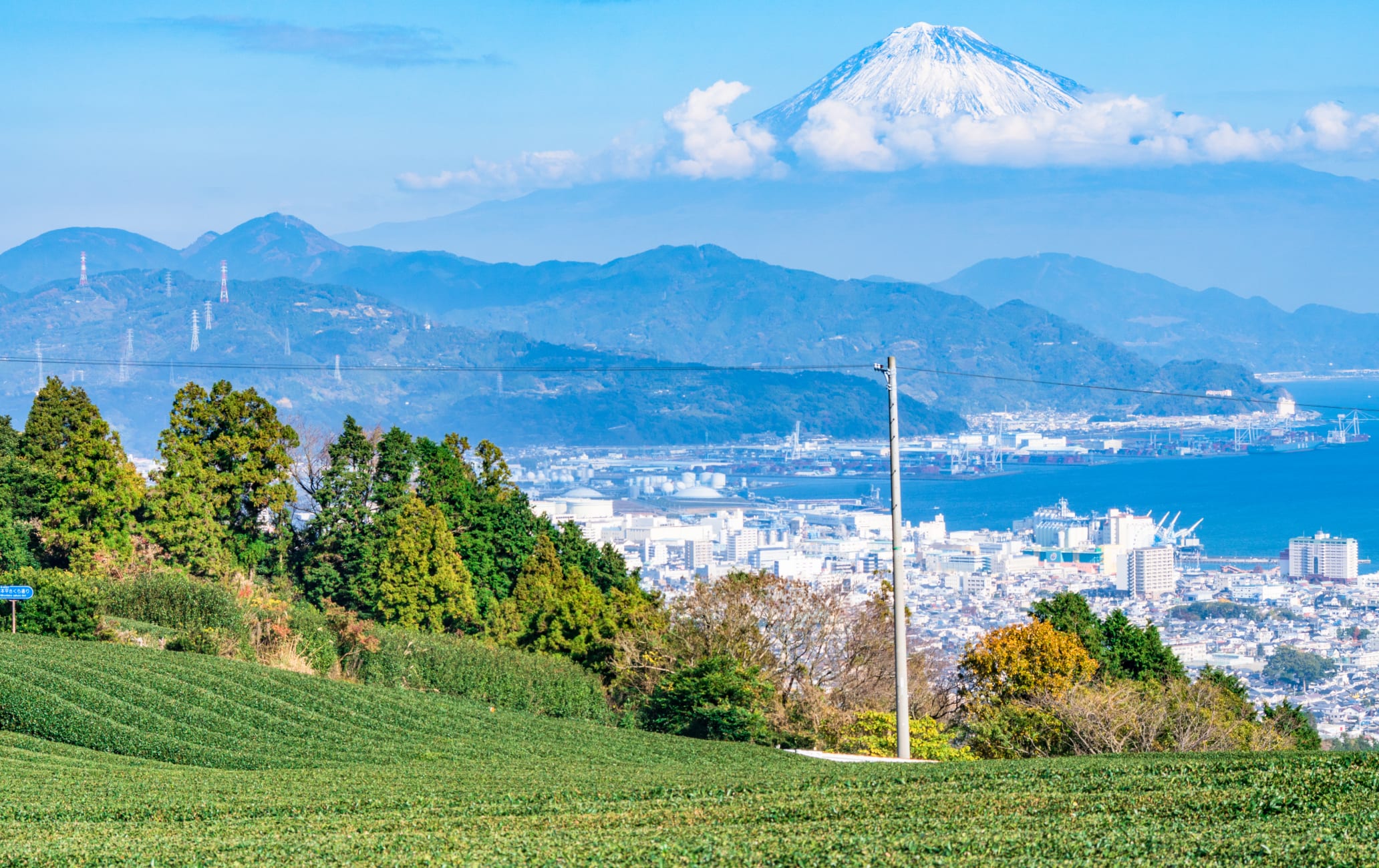Nihondaira Plateau | Shizuoka Attractions | Travel Japan | JNTO