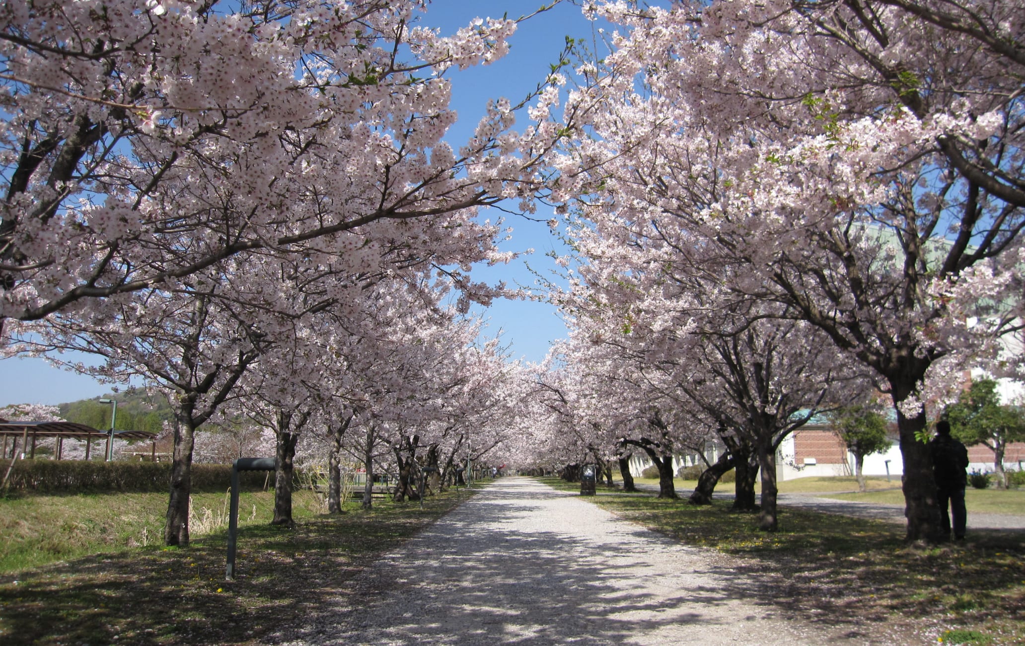 kagamino park