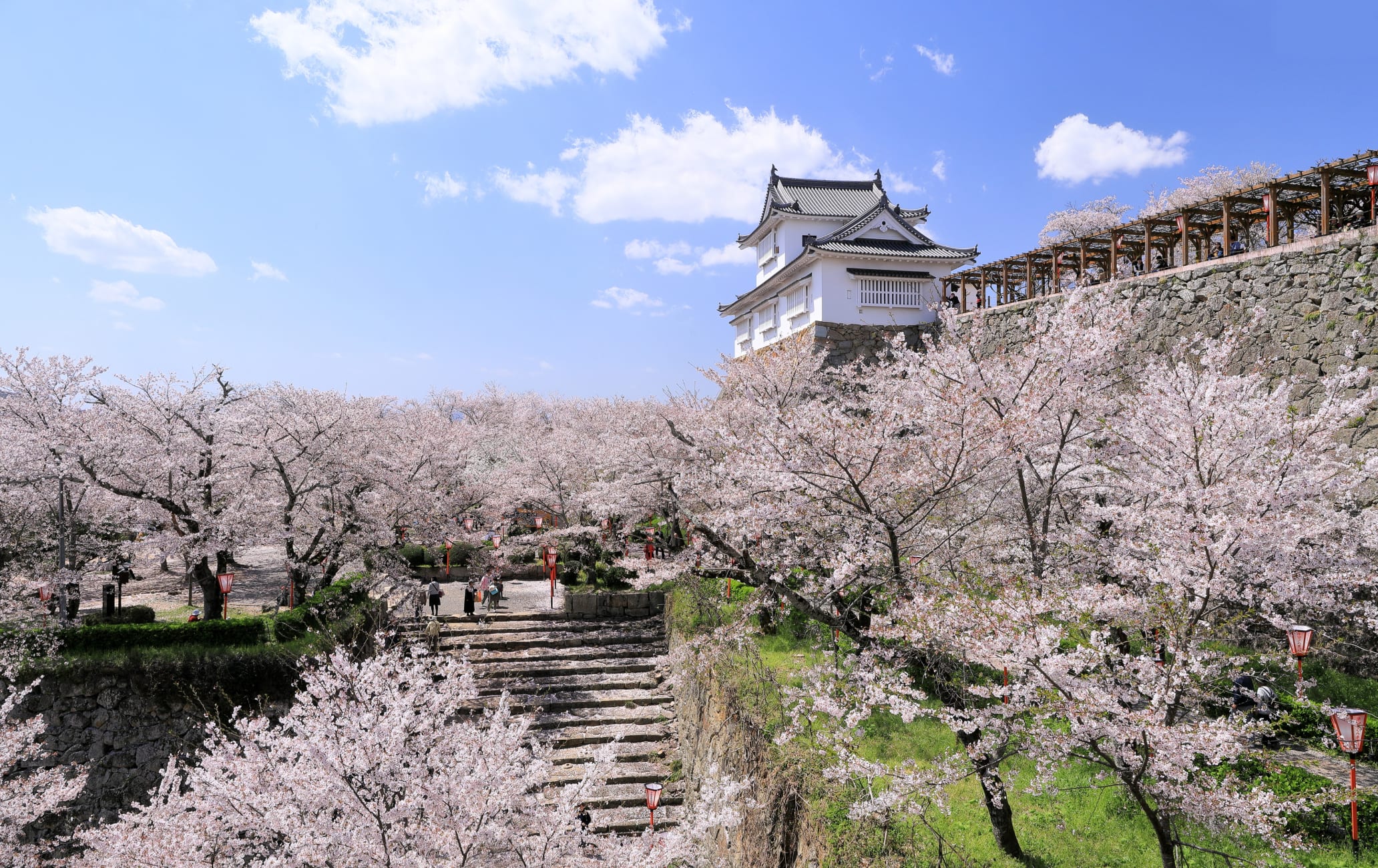 kakuzan park