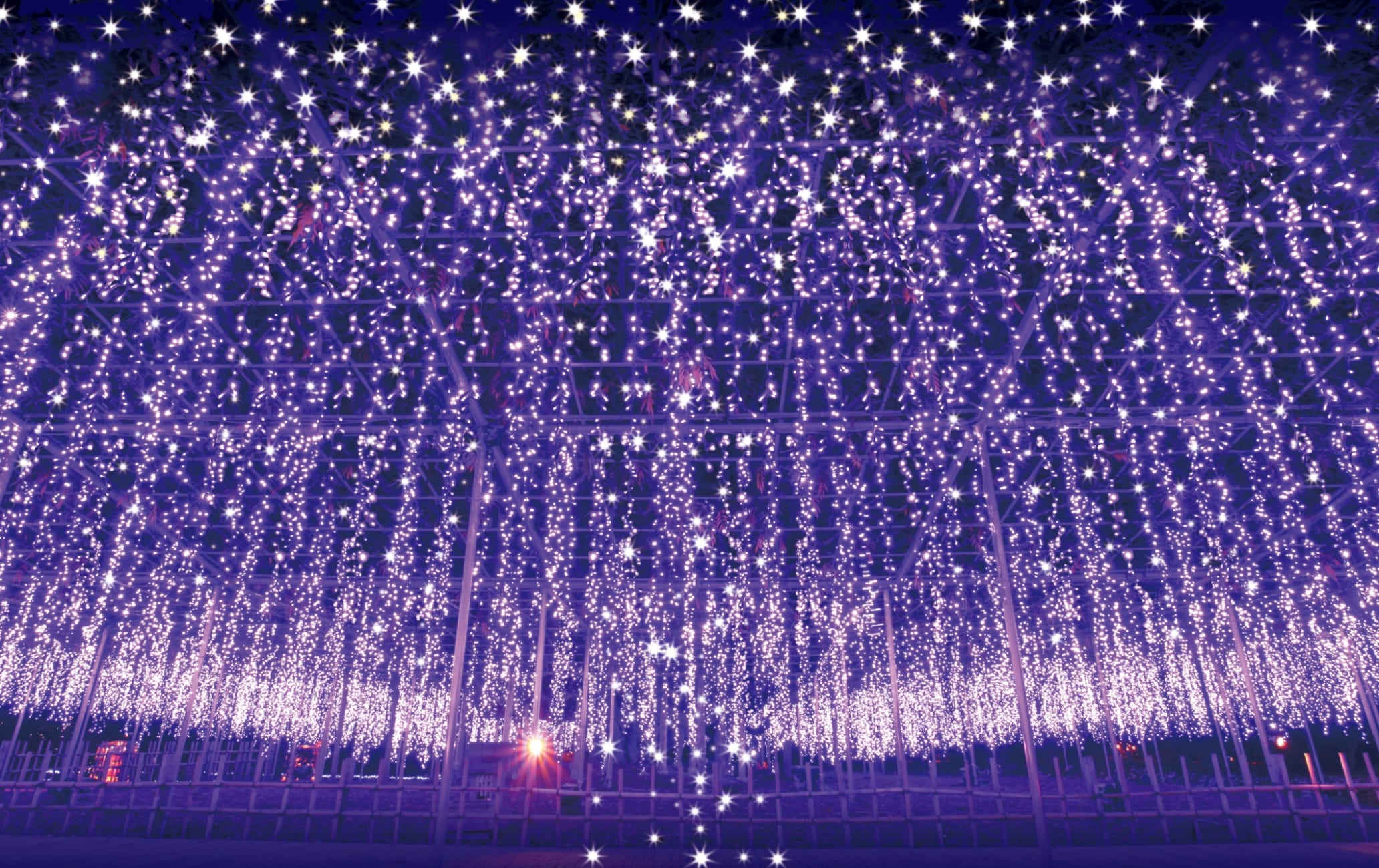 Ashikaga Flower Park