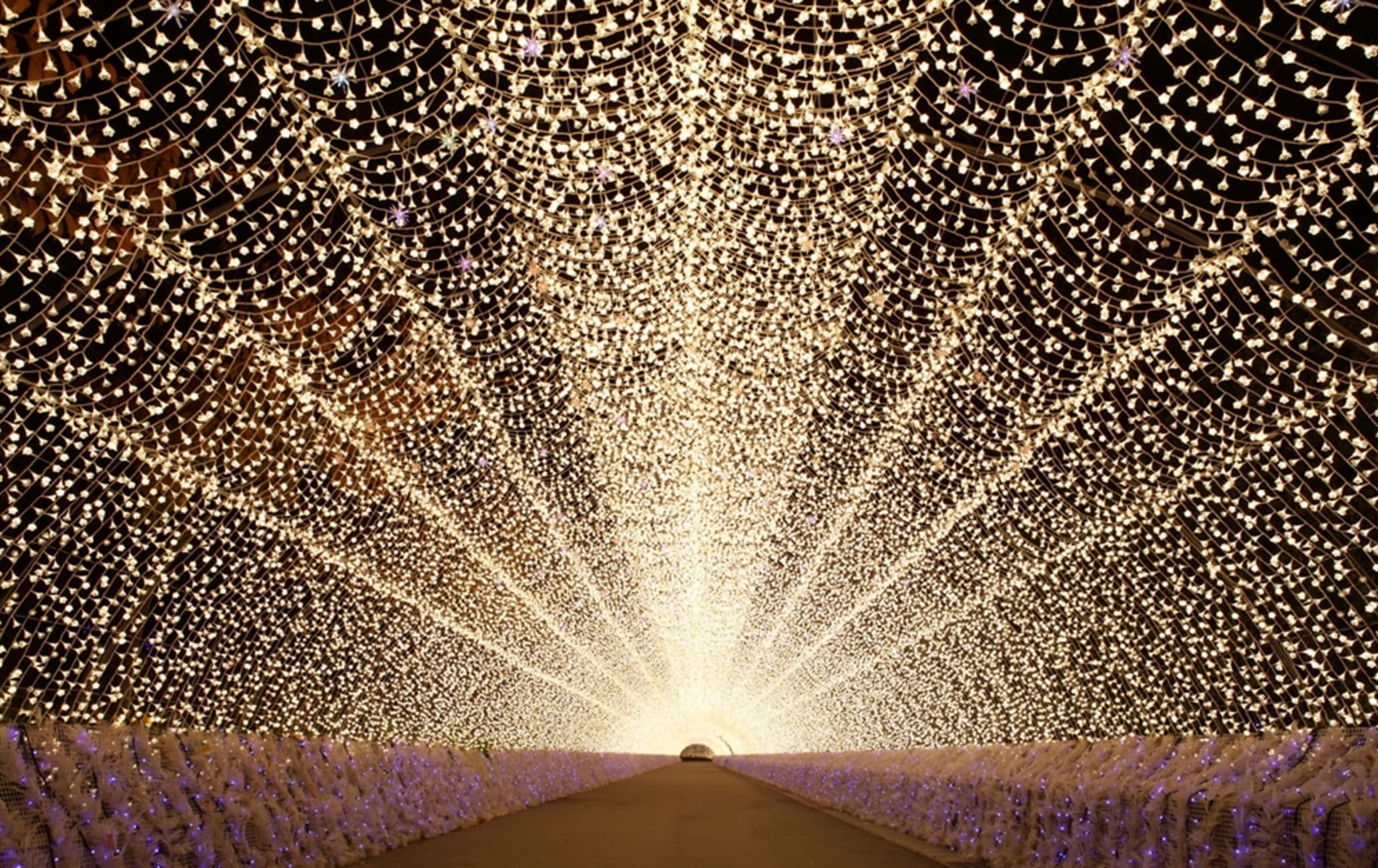 Nabana no Sato Winter Illumination