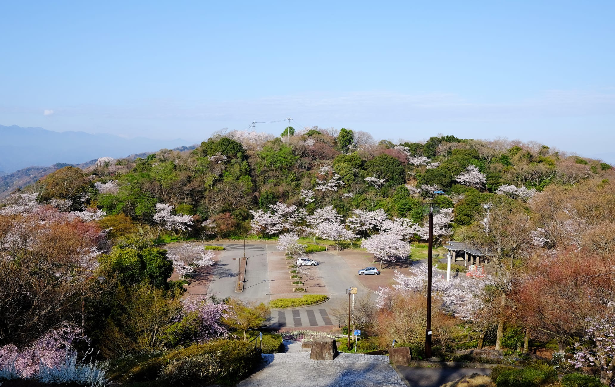 Bizan Park-cherry blossom
