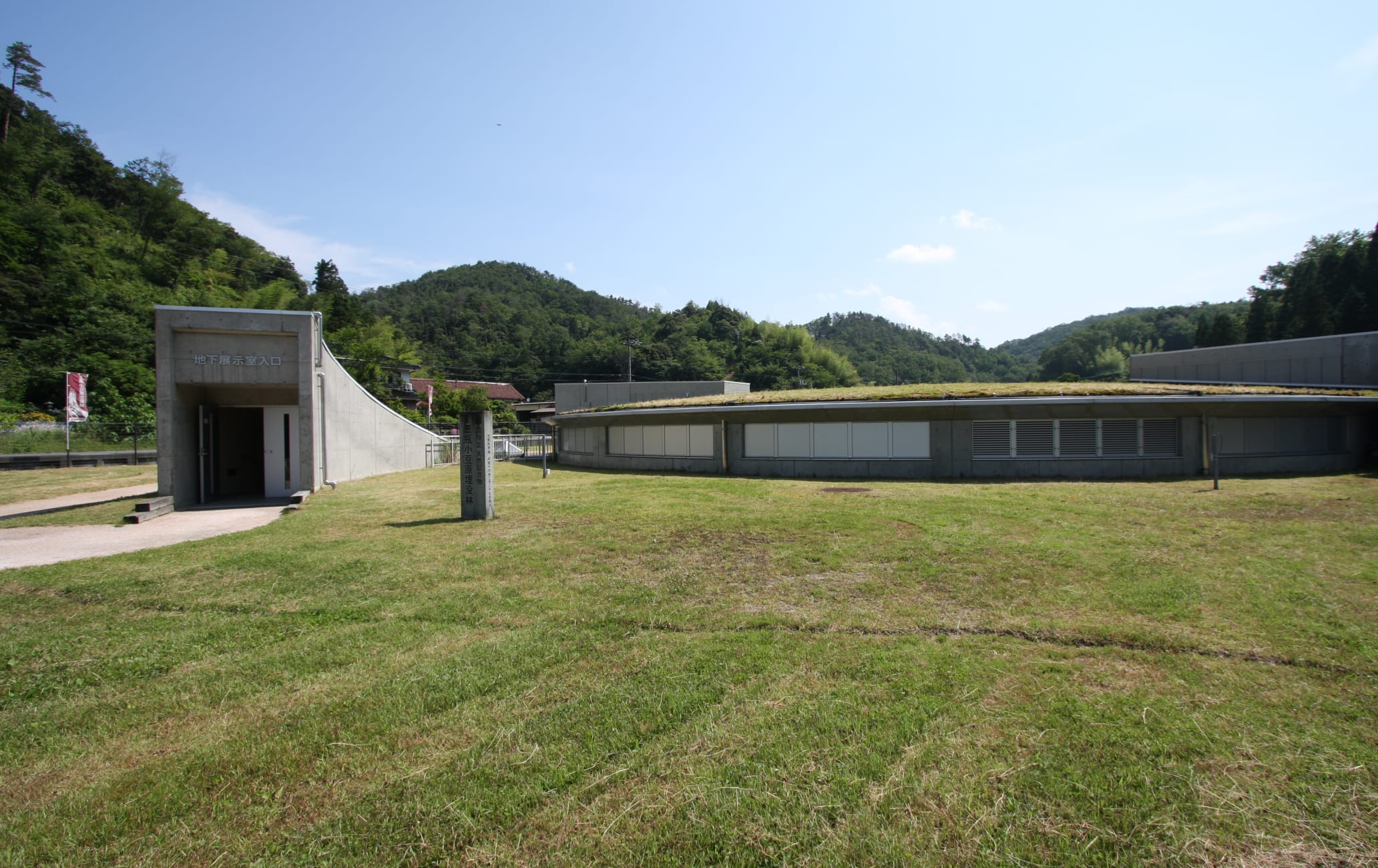 Sanbe-Azukihara Buried Forest