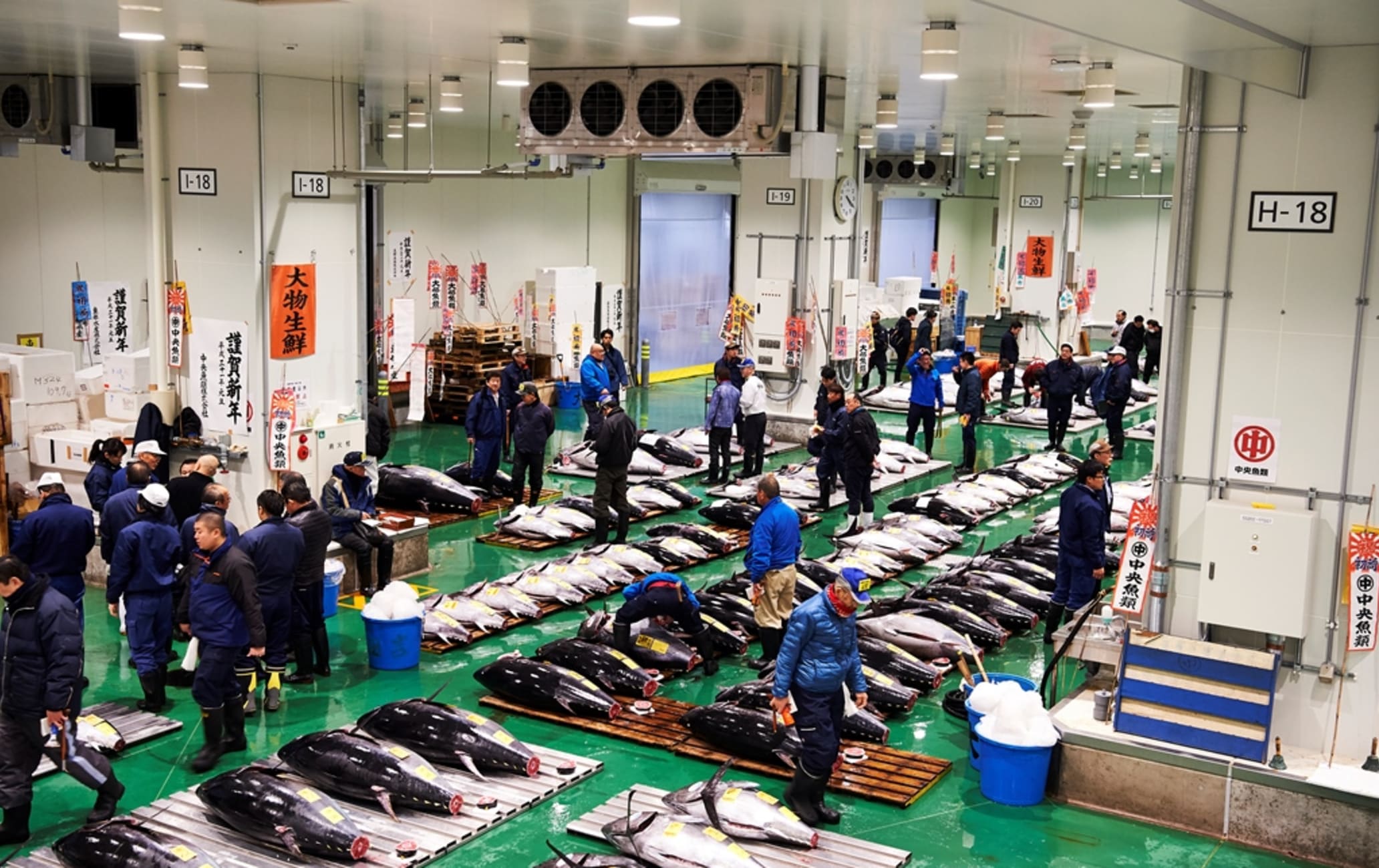 Toyosu Market | Travel Japan - Japan National Tourism Organization  (Official Site)