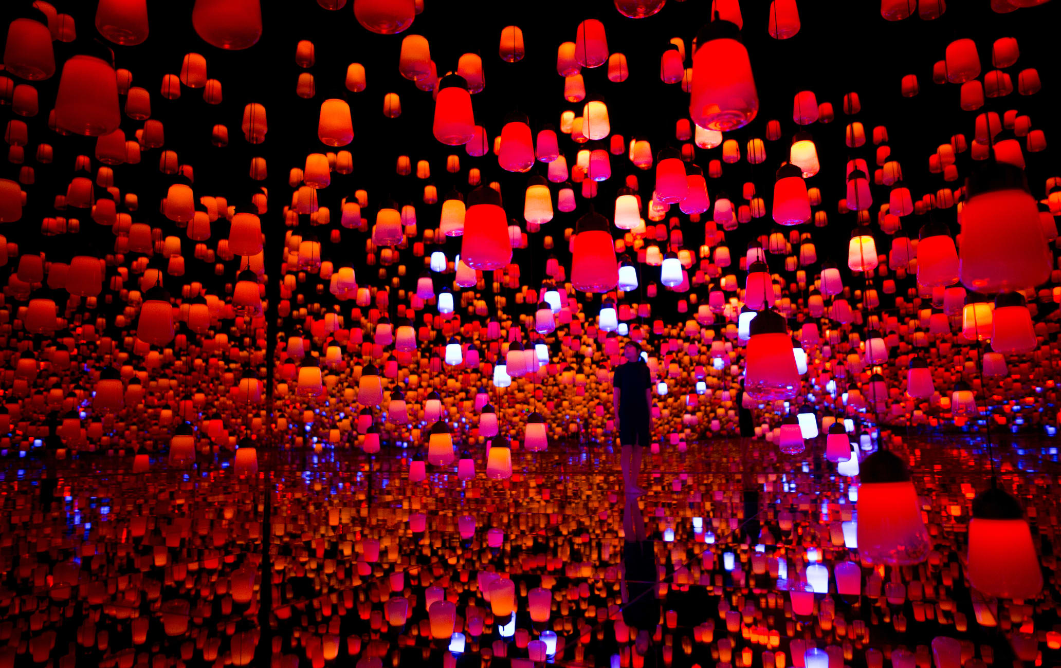 O Coletivo Teamlab Toquio Attractions Viagens Japao Jnto
