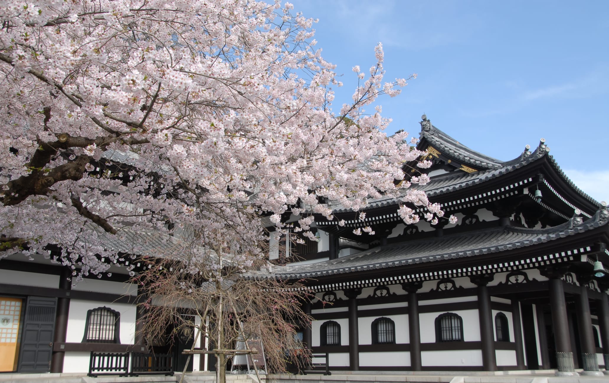 Tempio di Hasedera (Kanagawa) | Travel Japan - Ente Nazionale del Turismo Giapponese (sito ufficiale)