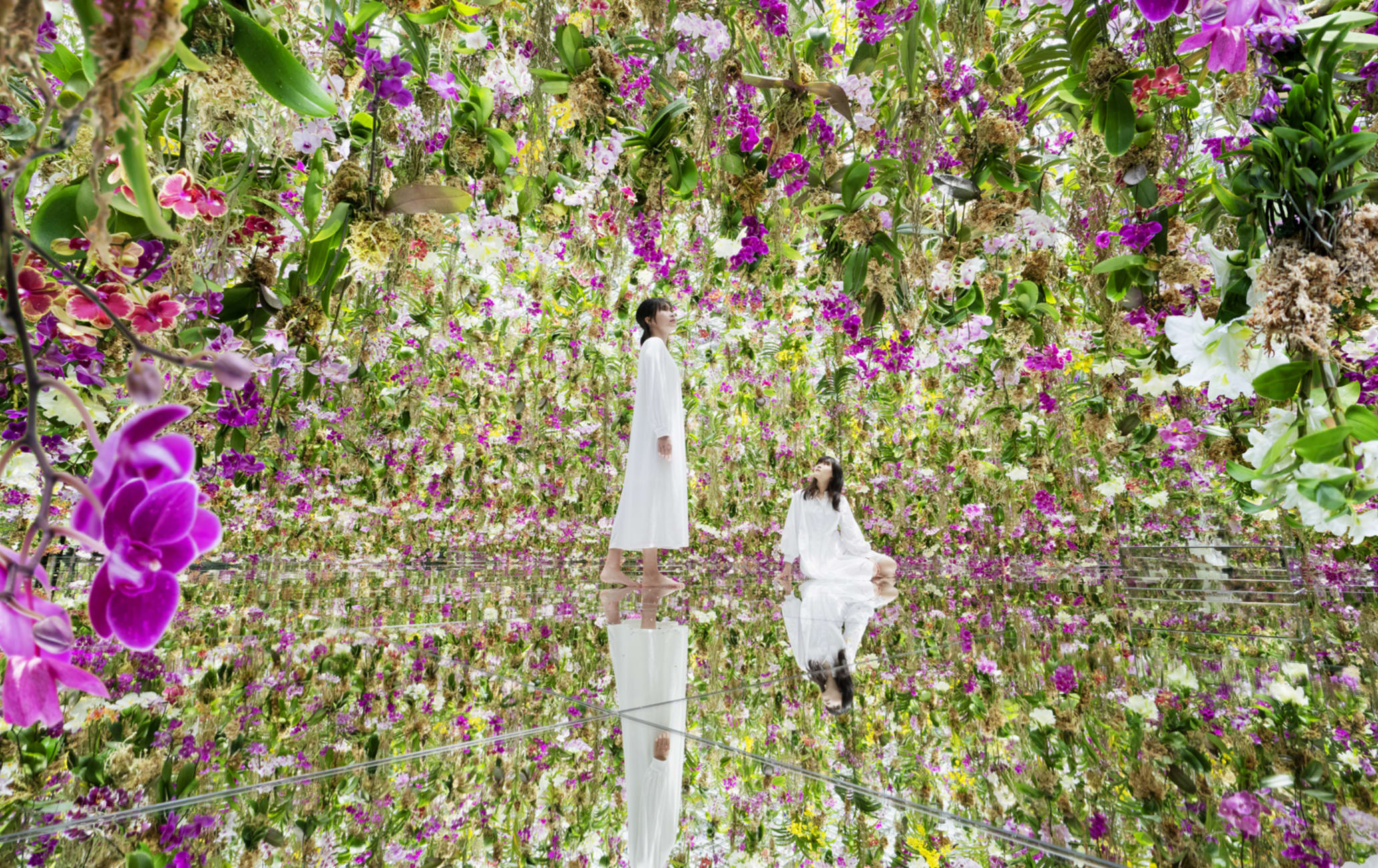 teamLab Planets TOKYO