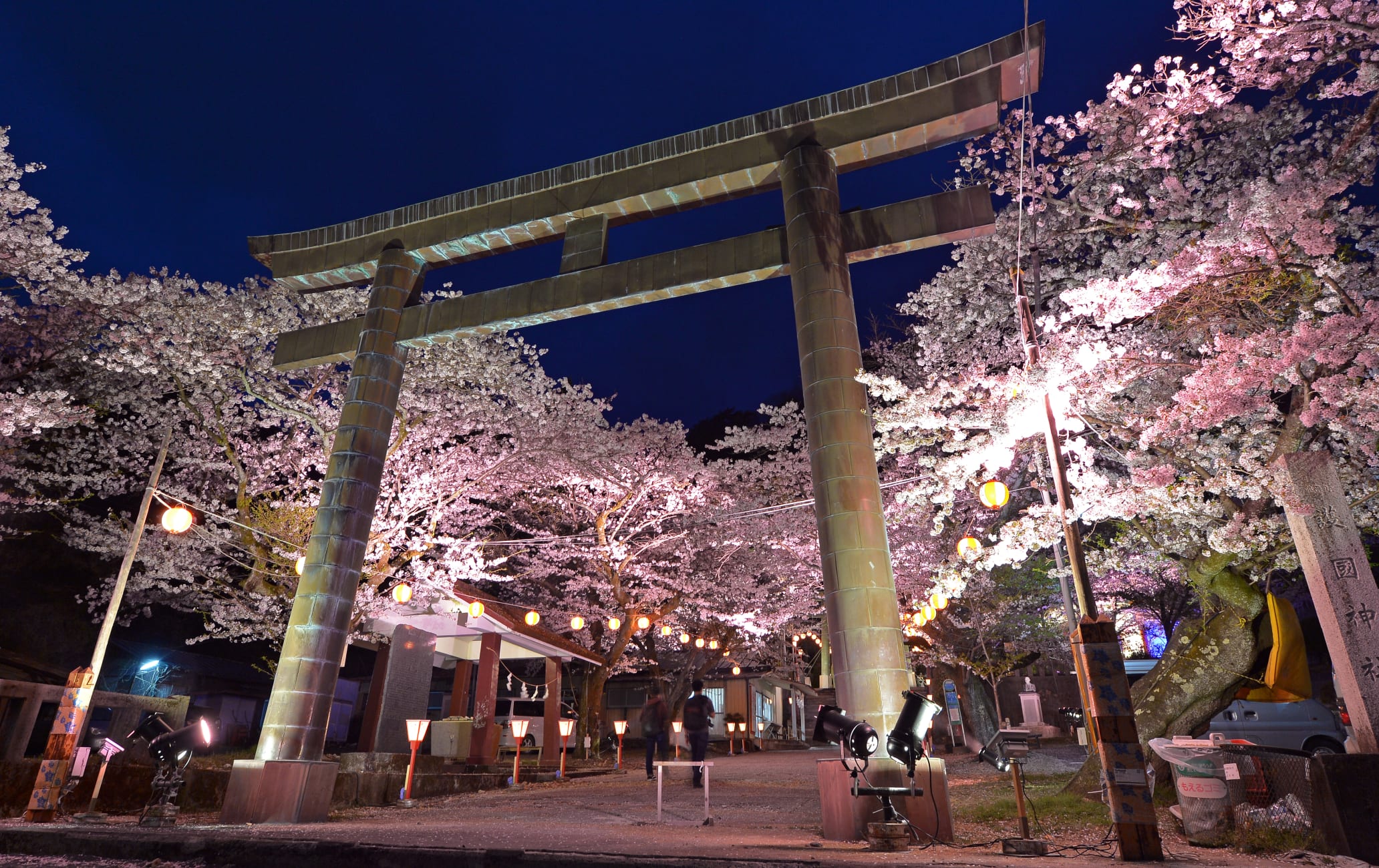 Kinugawa Sakura