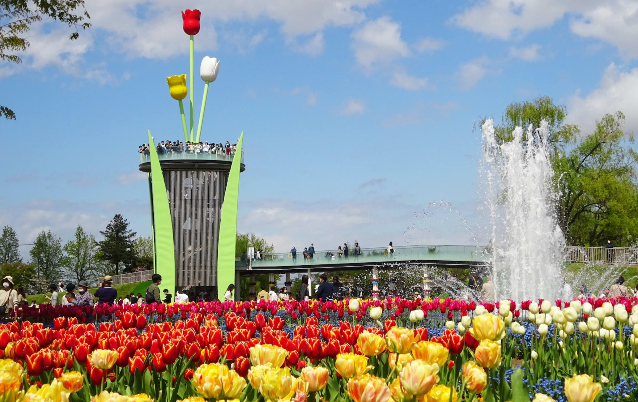 Tonami Tulip Park