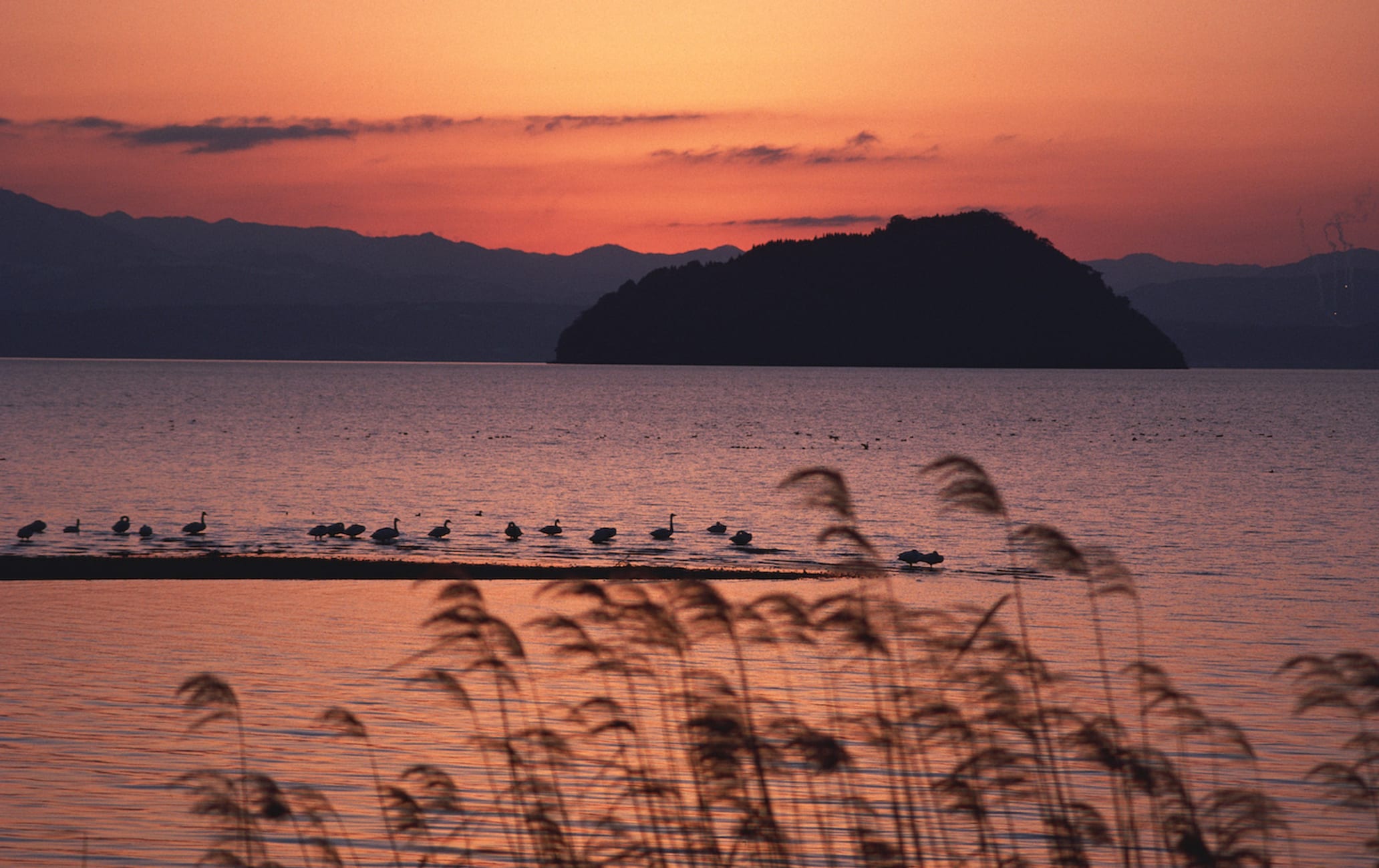 Chikubu Island (Chikubushima)