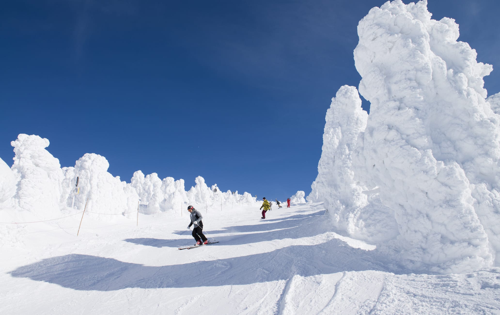 Mt. Zao Skiing | Travel Japan - Japan National Tourism