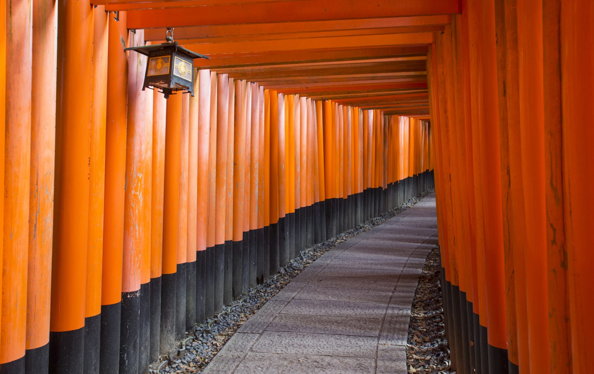 Kyoto Walk 2: Tofuku-ji Temple to Fushimi-Inari Taisha Shrine