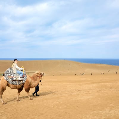 west japan itinerary for muslims