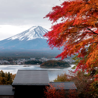 Glamping in Japan—a luxury camping experience