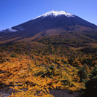 Fünfte Station auf der Fuji-Subaru-Strecke