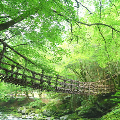 Iya-Kazurabashi-Brücke