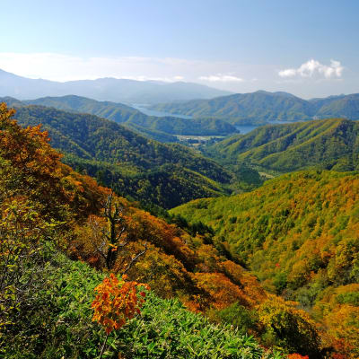 منتجع شيرابو