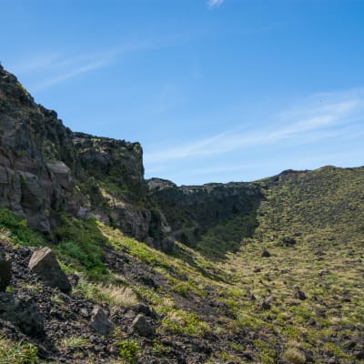 Oshima—An Island Escape