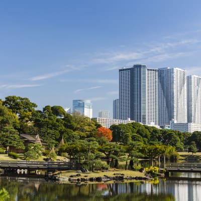 Jardines de Hama-rikyu 