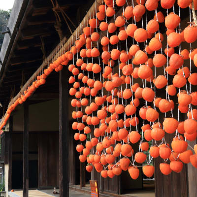 Casa Museo del Folclore al Aire Libre de Japón