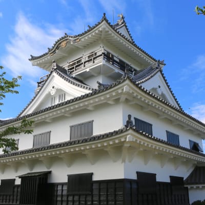 Château de Tateyama