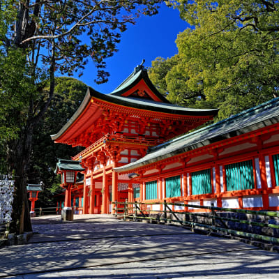 Santuario Hikawa-jinja
