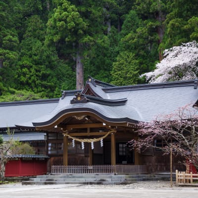 Futarasan-jinja-Schrein