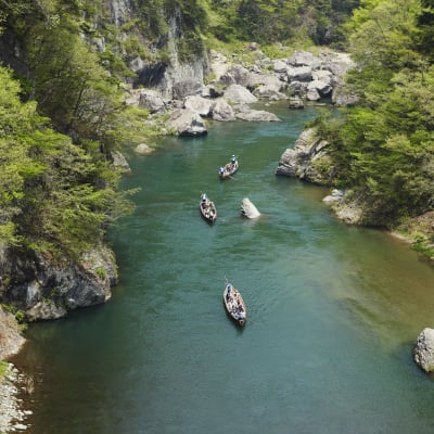 Cruceros por el río Kinugawa