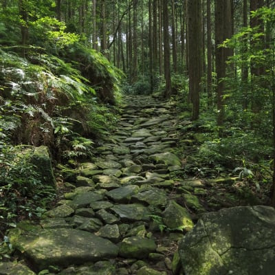 Kumano Kodo – Magose-Pass