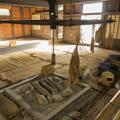 Museo al Aire Libre de las Granjas Japonesas Tradicionales