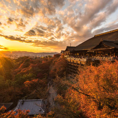 Chùa Kiyomizudera