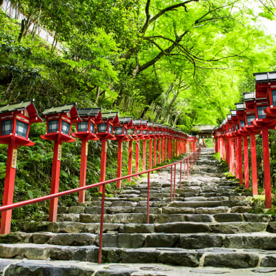Santuario Kifune-jinja