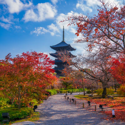 Monumentos históricos de la antigua Kyoto (ciudades de Kyoto, Uji y Otsu) (UNESCO)