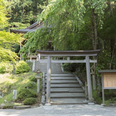 Đền thờ Kinpu-jinja