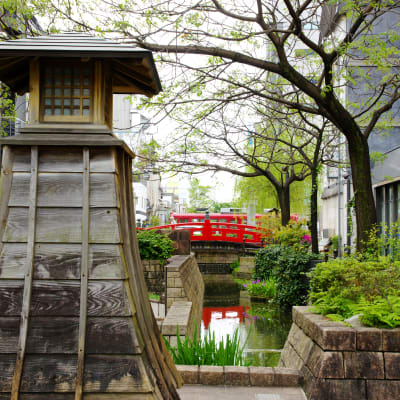 جسر هاريمايا