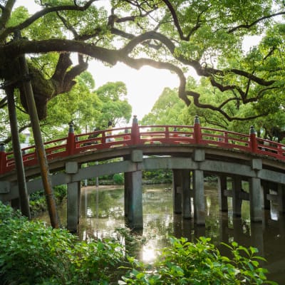 Santuario Dazaifu Tenmangu