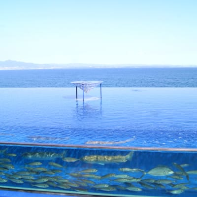 Oita Marine Palace Aquarium