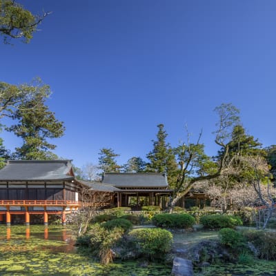 ضريح أوسا-جينغو