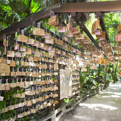 Templo Aoshima-jinja