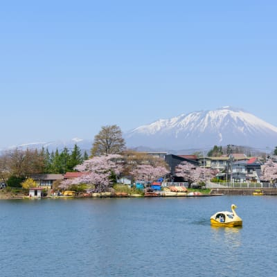 สวนทะคะมัทสึ