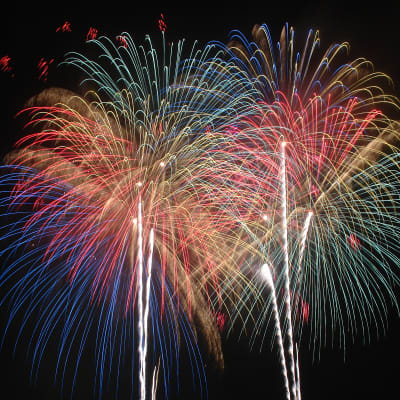 Yonago Gaina Festival