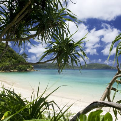 Isla de Iriomote (Iriomotejima)