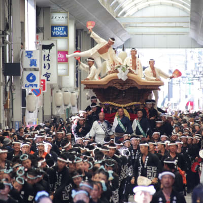 Festival de Kishiwada Danjiri de Setembro