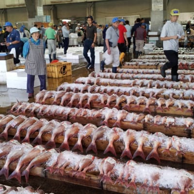Mercado de pescado de Kagoshima
